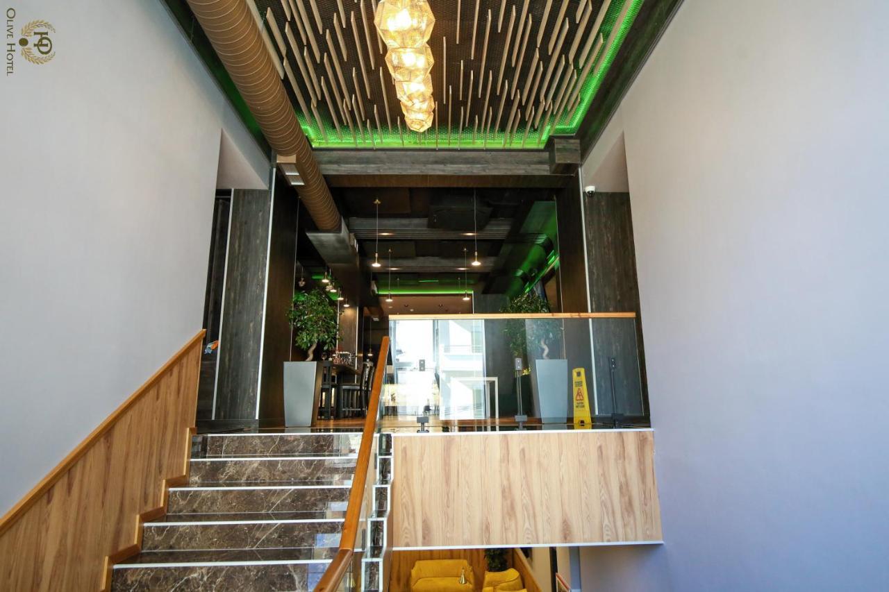 Hotel Olive 4*